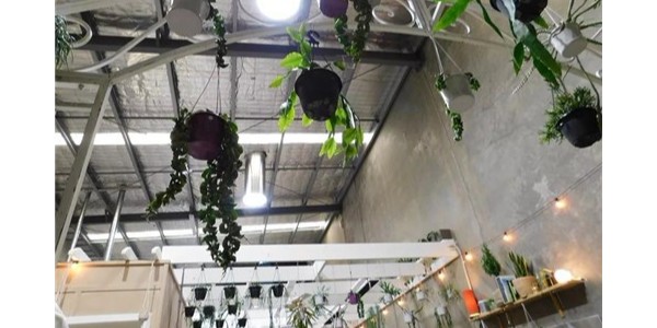 導光管創新植物室內栽培照明零能耗技術