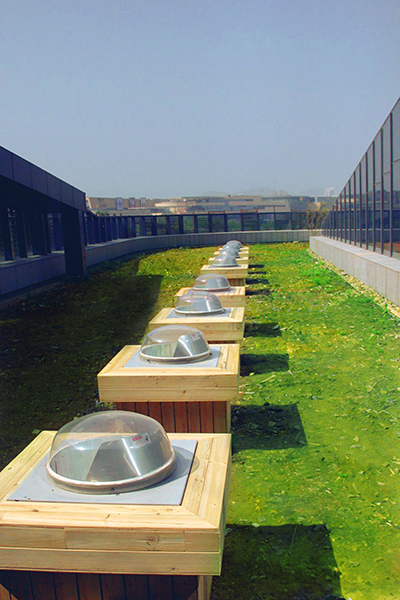 杭州西湖龍蛇嘴景區01