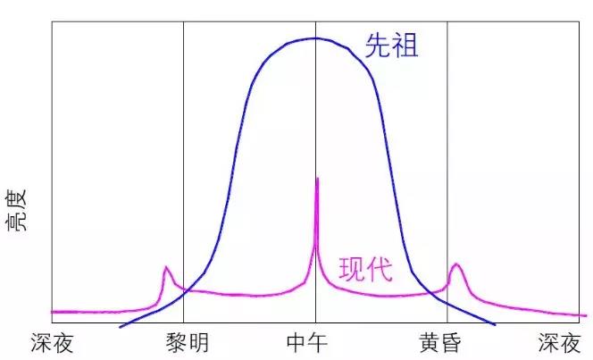 導光管原來還能調節生物鐘