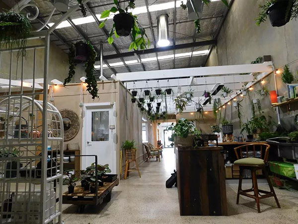 索樂圖導光管應用于餐廳