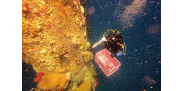 索樂圖自然光照明系統(tǒng)——減少碳排放，不再為垃圾分類煩惱！